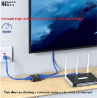 Gigabit Ethernet-splitter 1 naar 2, 1000 Mbit/s, met USB-voeding