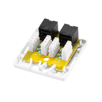 Cat.6A Opbouwdoos 2 x RJ45, onafgeschermd