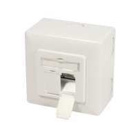 Cat.6A wandcontactdoos 2 x RJ45 afgeschermd, met opbouw doos, zuiver wit