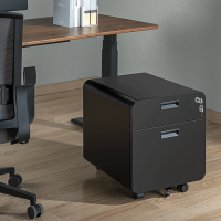 Mobiele archiefkast op wielen, 2 compartimenten, afsluitbaar, tot 15 kg, zwart