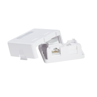 Cat.6A Keystone Jack UTP 22–26 AWG, gereedschapsloos, 16,6 mm breedte