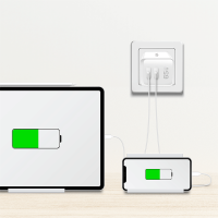 Dubbele USB-aansluitingadapter, GaN, 65 W, 2x USB-C (PD 3.0/QC 4.0), wit