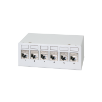 Patchpaneel 6-poorts met 6 Cat.6A Keystone-modules